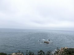 -东澳岛