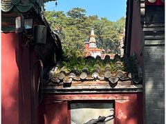 -承德避暑山庄景区