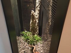 -金色艳阳天•粤菜 淮扬菜(古平岗店)