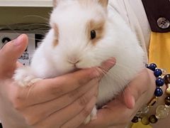 -龙猫仔乐园(惠福东路店)