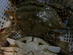 -三个渔夫·蒸汽海鲜(小白楼店)