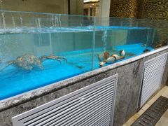 -青岛海尔洲际酒店