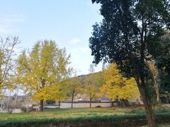 -第一山景区