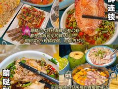 -亚龙湾热带天堂森林公园