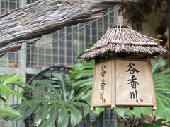 -谷咖啡·鲜花绿植花园餐厅