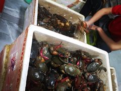 -凤凰路何眼镜香辣蟹(花果园店)