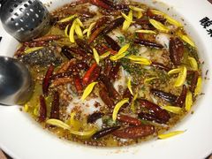 -新太二·鲜料川菜(群光广场店)