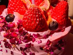 -维尔纳斯·生日蛋糕·动物奶油冰淇淋蛋糕(六里桥店)