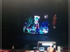 -广州长隆国际大马戏