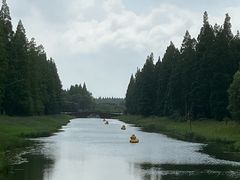 -黄海国家森林公园