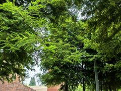 -祝甸砖窑文化馆