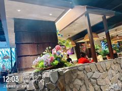 -云海肴·汽锅鸡·云南代表菜(美罗城店)