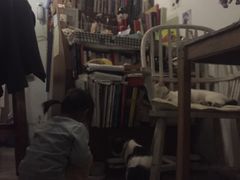 -海边的猫和咖啡馆