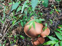 -碓臼峪自然风景区