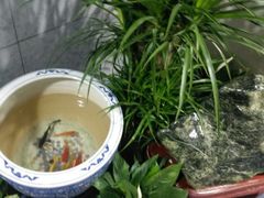 -格斗兄弟搏击健身训练馆(望京店)