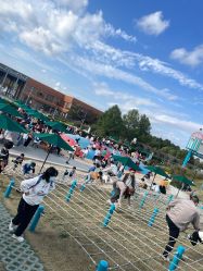 -季高兔窝窝亲子园(上海薰衣草公园店)