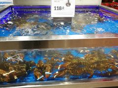 水产区-盒马鲜生(财富中心店)