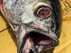 -柳记海鲜坊·蒸汽海鲜·福州菜·香辣蟹(芳群园店)