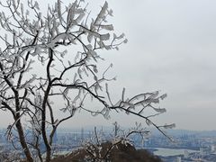 -紫金山山顶公园