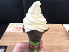 梅酒双色甜筒-肯德基(黄渡DT店)