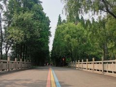 -渡海小渔村.老辈日照菜
