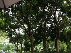 -广州市第二中学高中部(科学城校区)