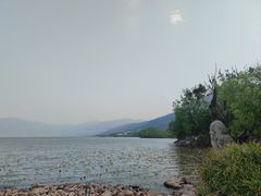 -西昌邛海湿地