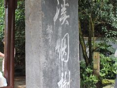 IMG_2112-九溪烟树