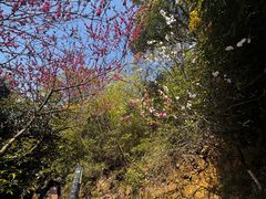 -杭州半山国家森林公园