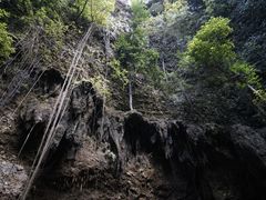 -中岜朗天坑(CV GEO INDO RAYA)