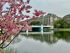-新江湾城公园