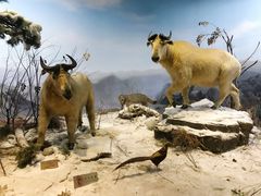 -陕西自然博物馆