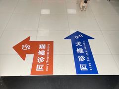 -申普宠物医院·心脏介入·心血管微创(总院)
