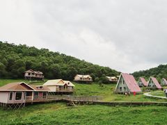-关山草原