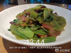 -鸡毛店·川菜(李家沱店)