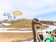 -新疆天山野生动物园