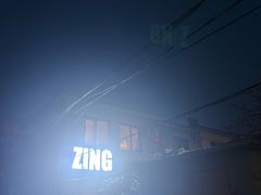-ZING鲸鱼啤酒(葡萄院店)