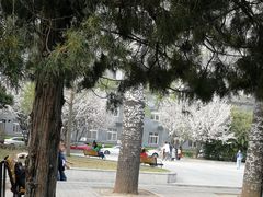 -中央民族大学