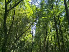 -小格里自然风景区
