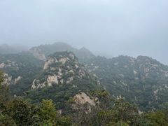 -大岭沟猕猴桃谷风景区