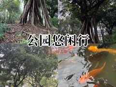 -柳侯公园
