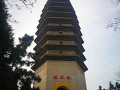 -龙口南山旅游景区