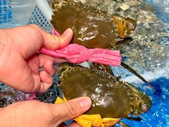 -田园印象·成都土菜院子(华阳店)