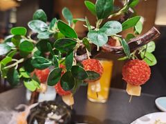 -唐猫庭院·千年陕菜(赛格国际购物中心店)