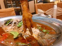 黄河大鲤鱼-大地烙馍村(商城路店)