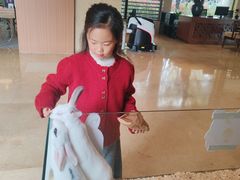 -宁波九龙湖开元度假村