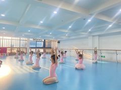 -西安小天鹅艺术团(曲江Alice店)