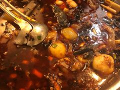 -黑竹香鸡(营和巷店)