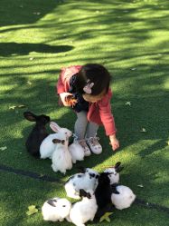 -萌宠亲子动物乐园(槐房万达店)