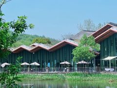 -西湖风景区-江洋畈生态公园